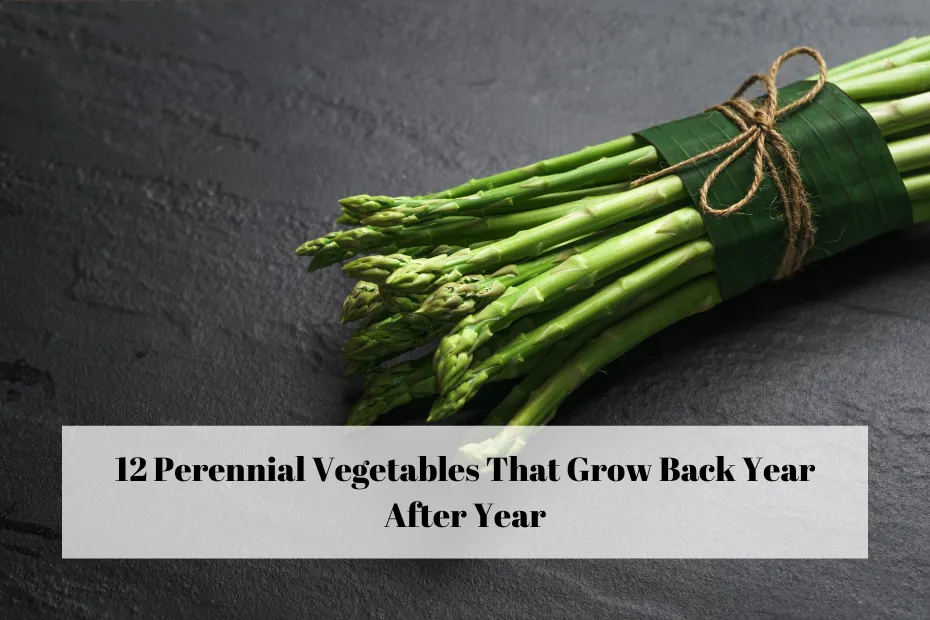 12 Perennial Vegetables That Grow Back Year After Year